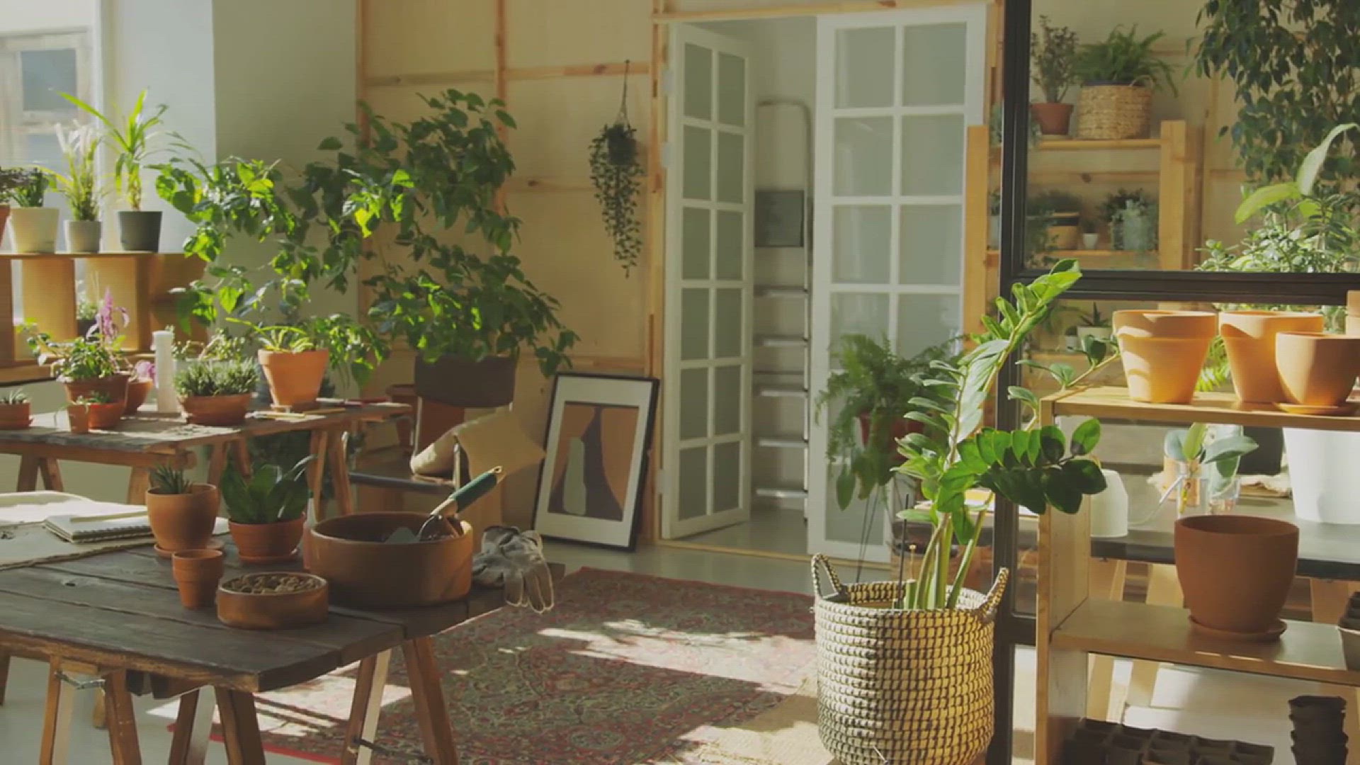 'Video thumbnail for 10 Perennial Herbs for Hot Summer Climate'