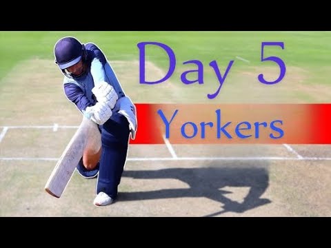 Video thumbnail for The Shocking Truth About My Part-Time Cricket Training | Day 5