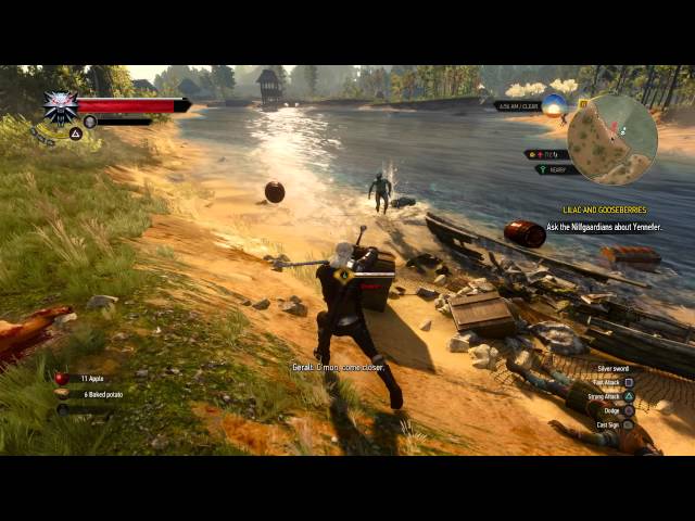 Video thumbnail for The Witcher 3: Wild Hunt - Guarded Treasure Dronwer Fight (Quen, Igni) Explosions, Fast Strikes
