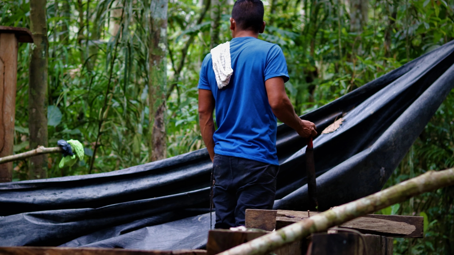 Video thumbnail for Coca production in Colombia: Coca crop shift faces uncertain future after election