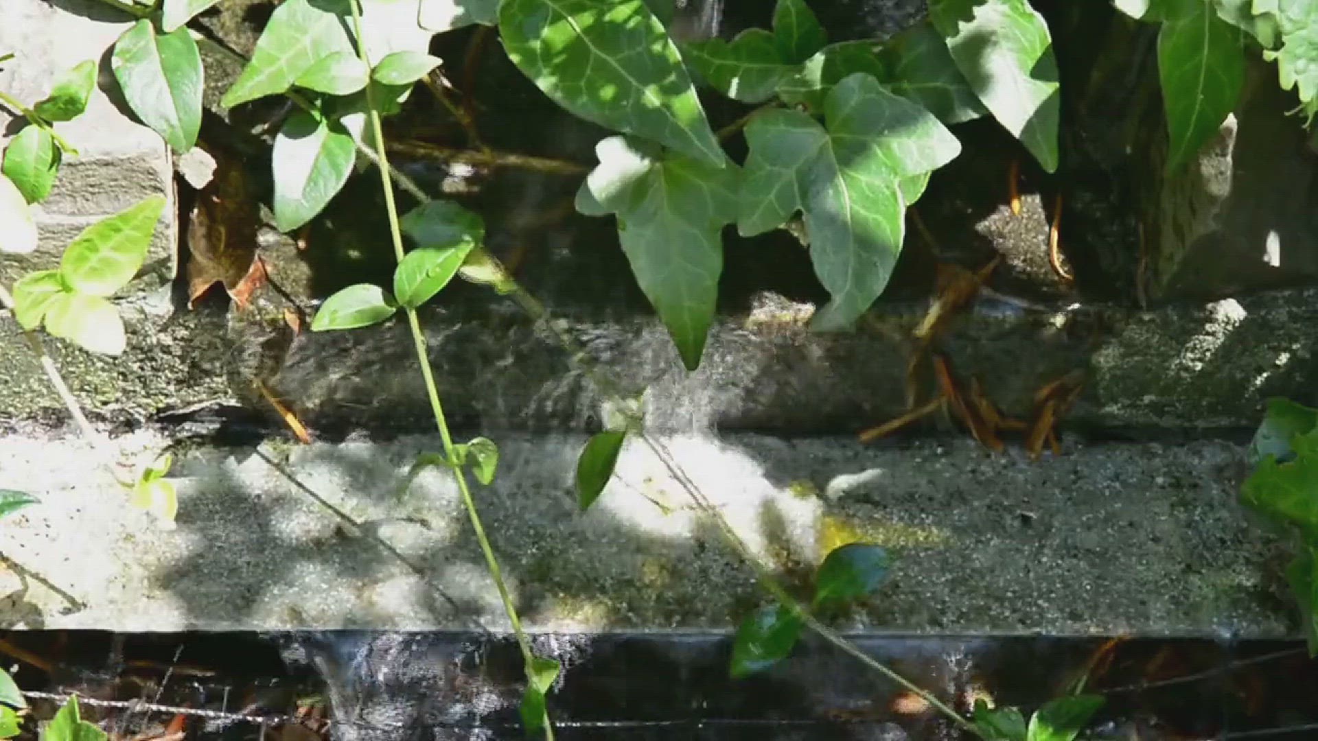 'Video thumbnail for Creative Garden Water Features Ideas'