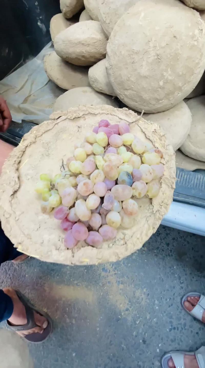Video thumbnail for Ancient Afghan Technique for Keeping Grapes Fresh for Months