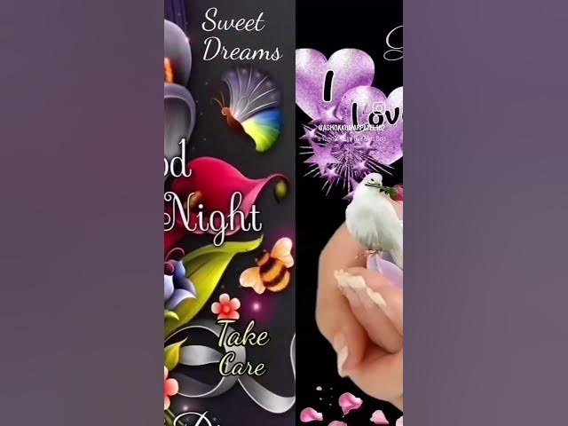 Video thumbnail for 14 December 2024