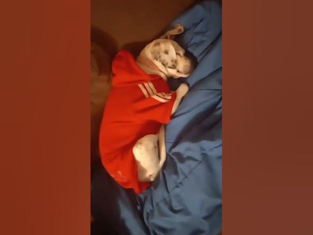 Video thumbnail for the baby