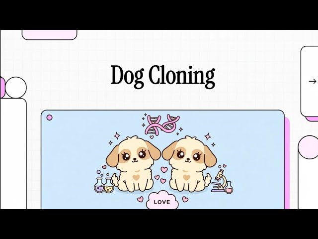 Dog Cloning as Intriguing Opportunity