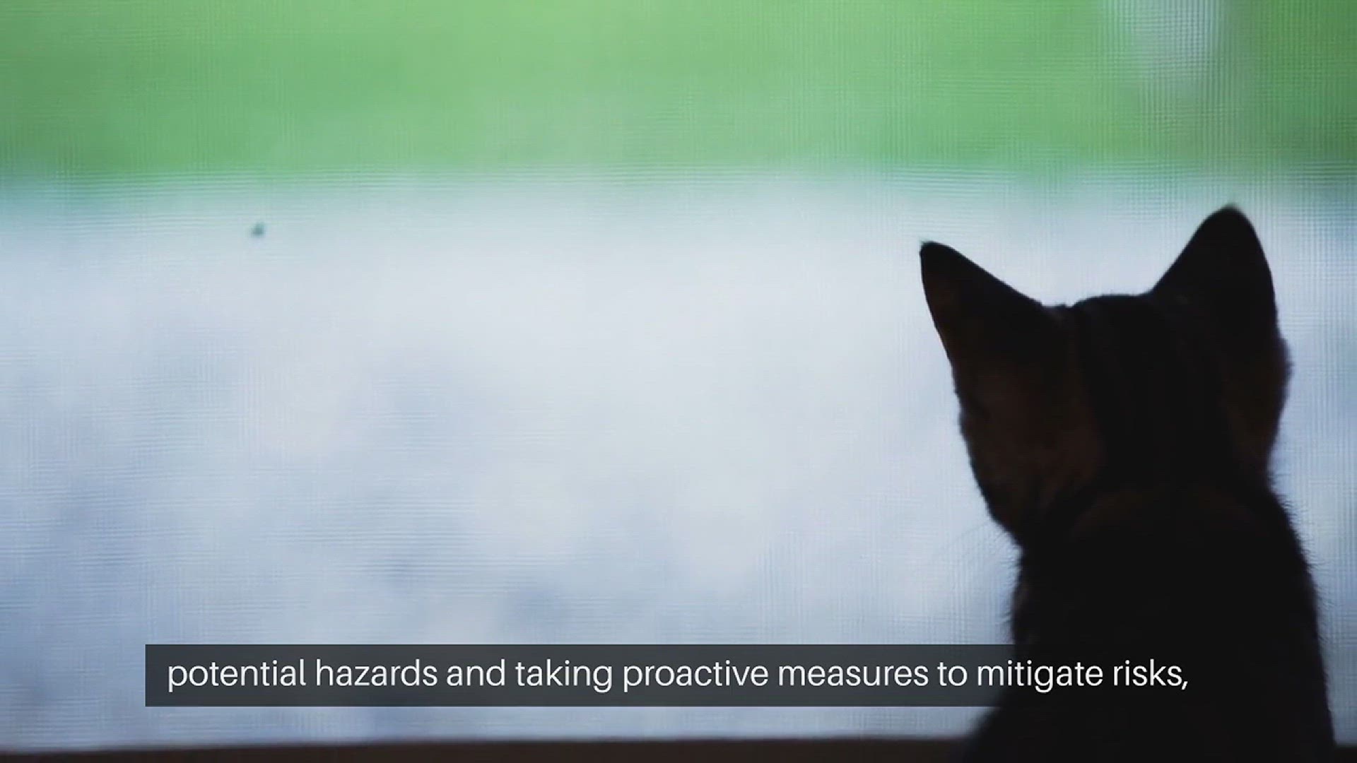 Video thumbnail for Pet Proofing Your Home