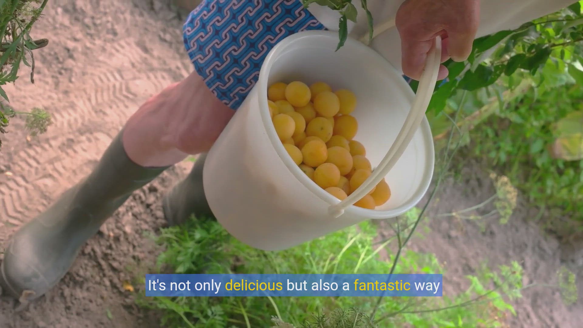 'Video thumbnail for How to Make Delicious Cherry Jam at Home: Step-by-Step Guide'