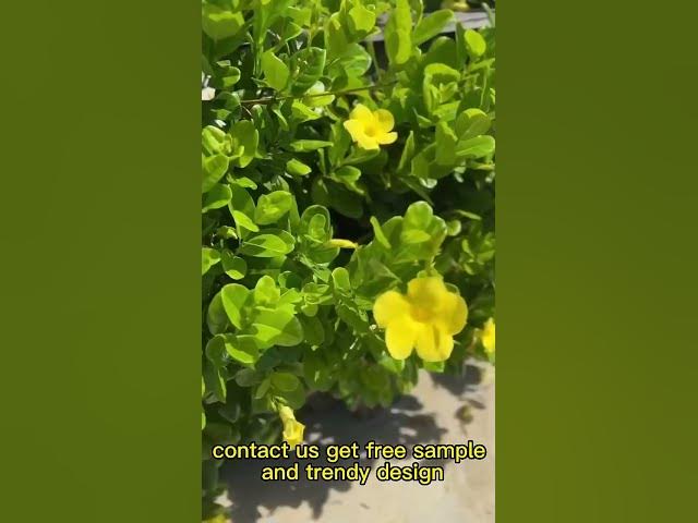 Video thumbnail for π Opaque Tights π