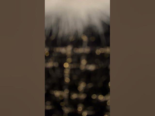 Video thumbnail for 24 November 2024