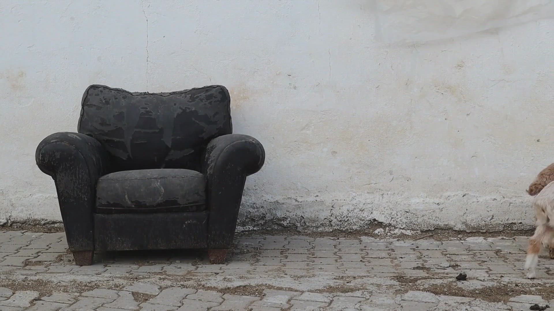 Video thumbnail for How to Stain a Leather Chair