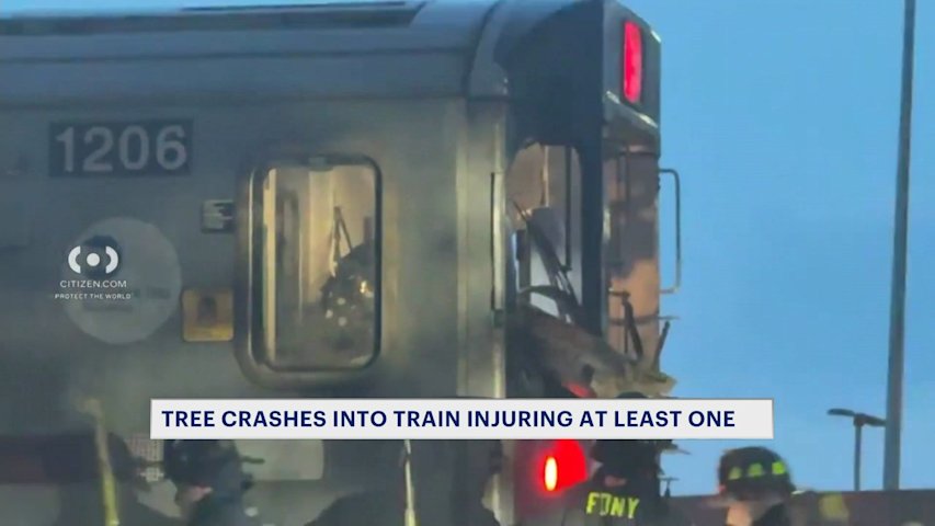 Video thumbnail for One person injured after tree impales 4 train