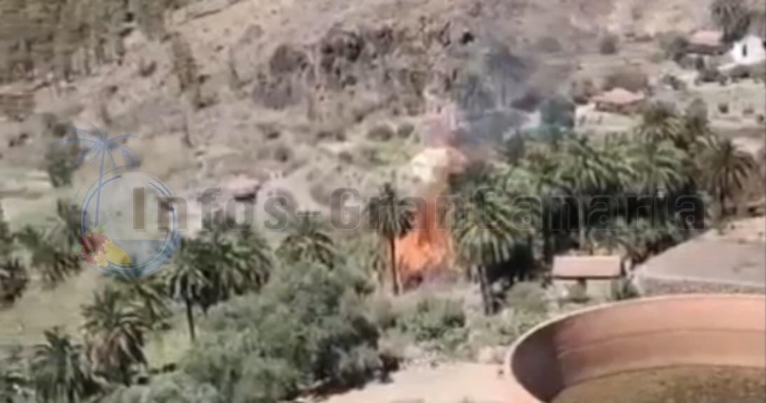 'Video thumbnail for Palmen-Waldbrand in Fataga - 17-8-24'