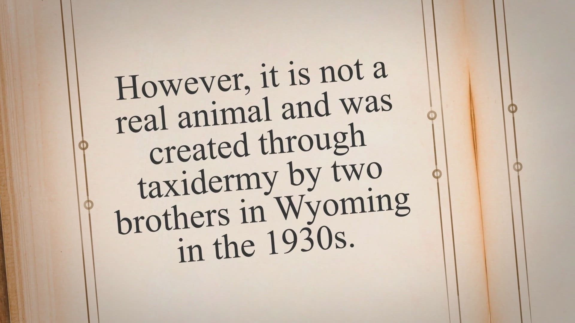 Video thumbnail for Are Jackalopes Real? Rabbit Guide 2023