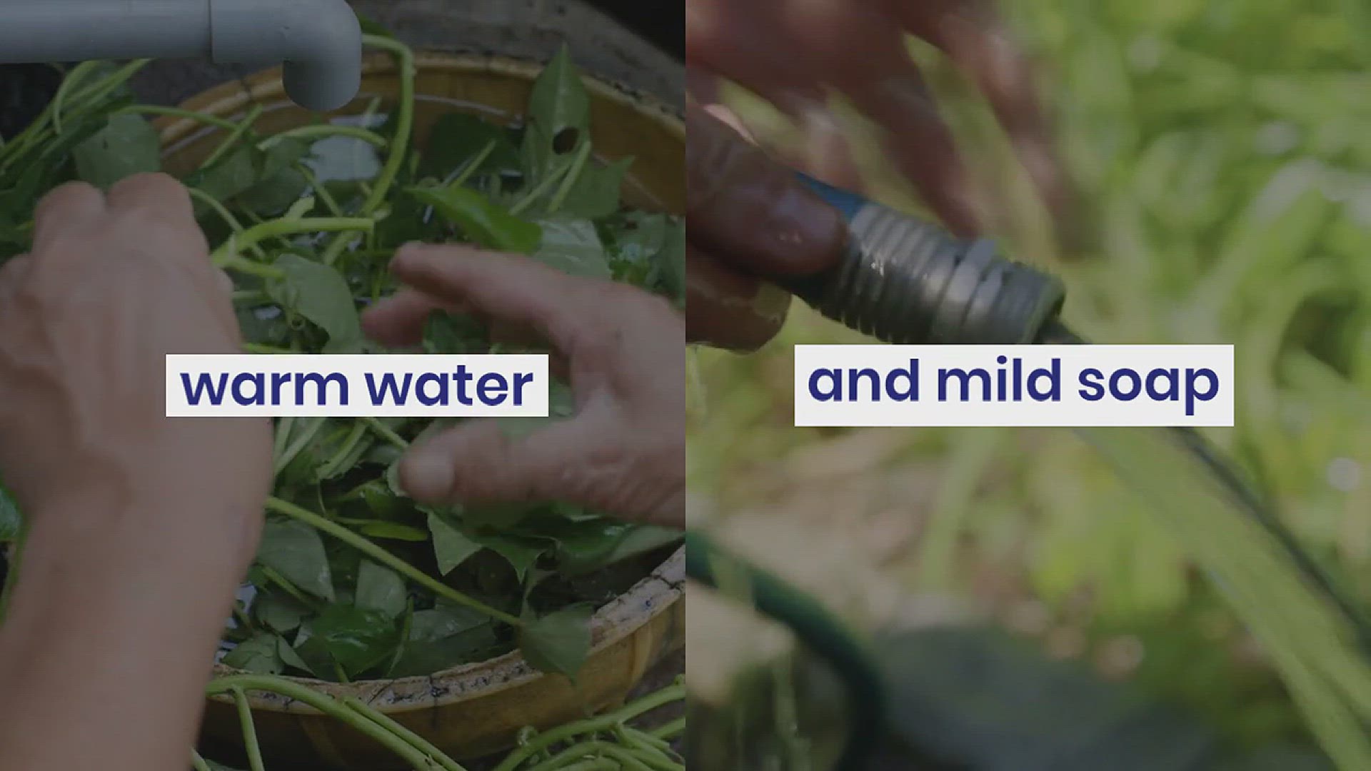 'Video thumbnail for Caring for Garden Shears'