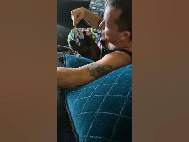 Video thumbnail for Teasing the dog