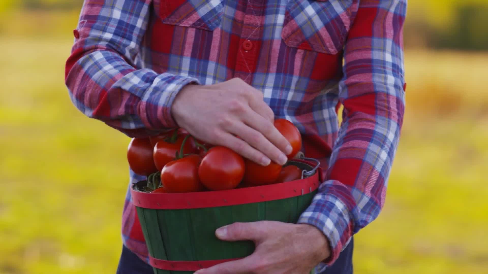 Video thumbnail for The US State That Grows The Most Tomatoes (It's Not Even Close)