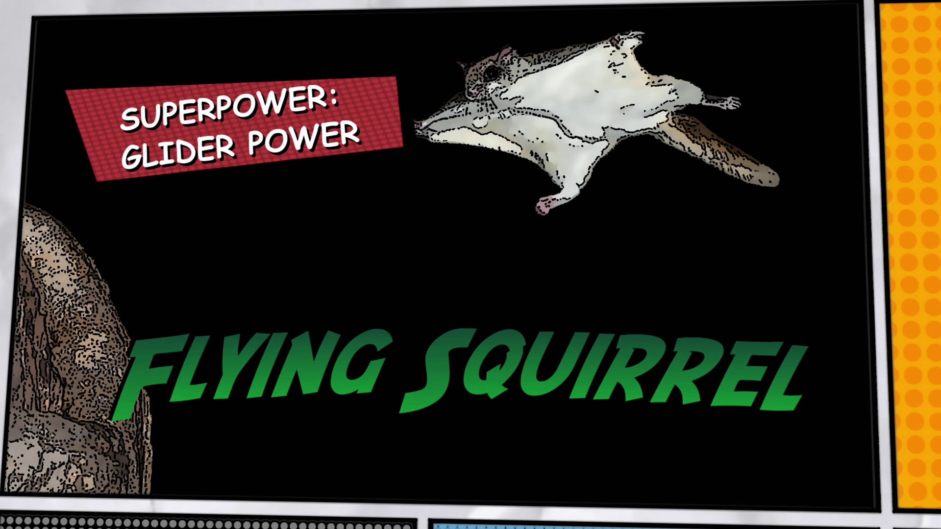 Video thumbnail for Super Animals -- Flying Squirrel
