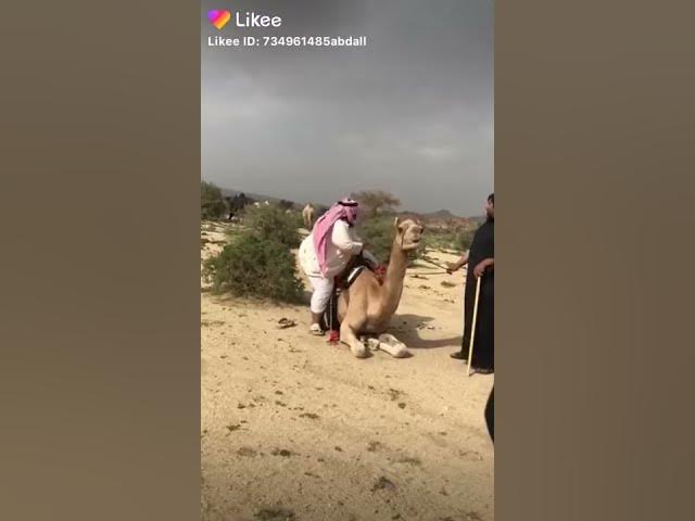 Video thumbnail for نهفات خليجية