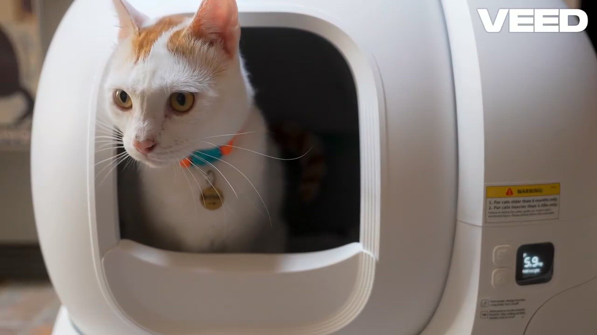'Video thumbnail for Best Self Cleaning Litter Box'