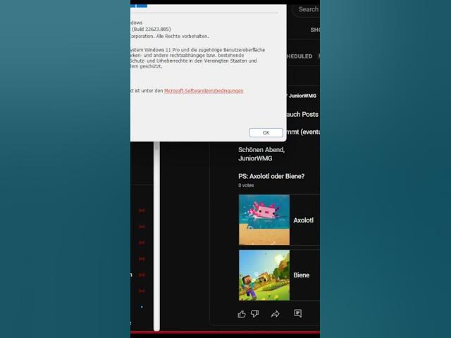 Video thumbnail for Da hast du deine Build-Nummer! | CMD Tipps + Tricks Ep. 2