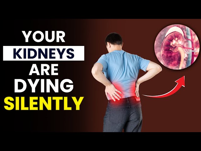 Video thumbnail for What is Chronic Kidney Disease ? | Causes, Symptoms and Treatment of Chronic Kidney Disease