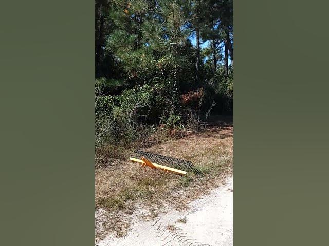 Video thumbnail for October 26, 2025