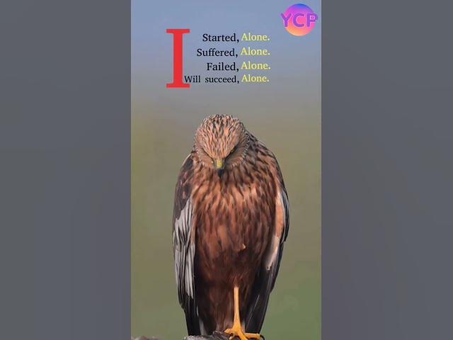 Video thumbnail for inspirational.