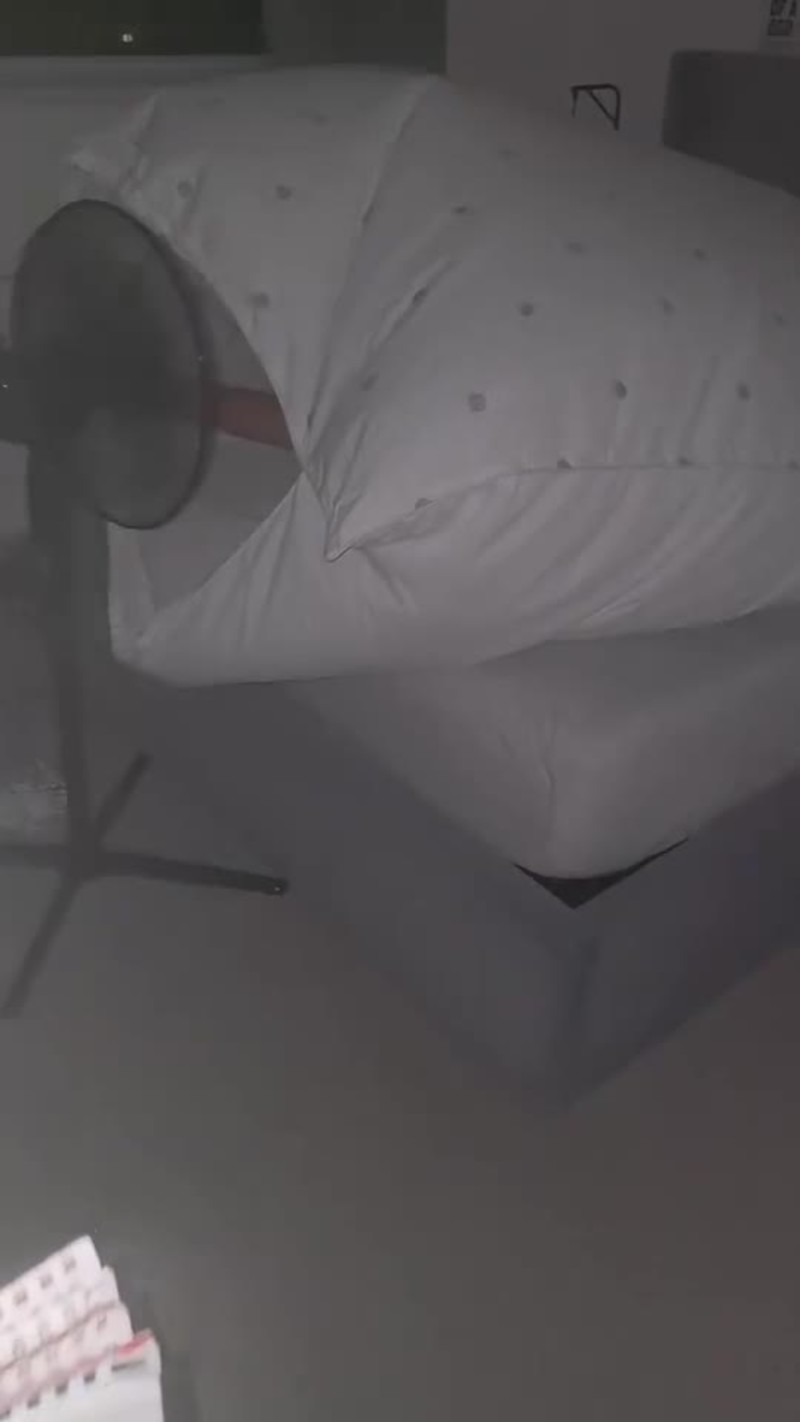 Video thumbnail for Heatwave Survival with a Duvet Fort and Floor Fan