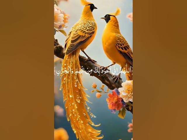 Video thumbnail for Huzoor ﷺ Ki Khubsurat Batein ❤️ | Dil Ko Chu Jane Wali Naseehat #Shorts