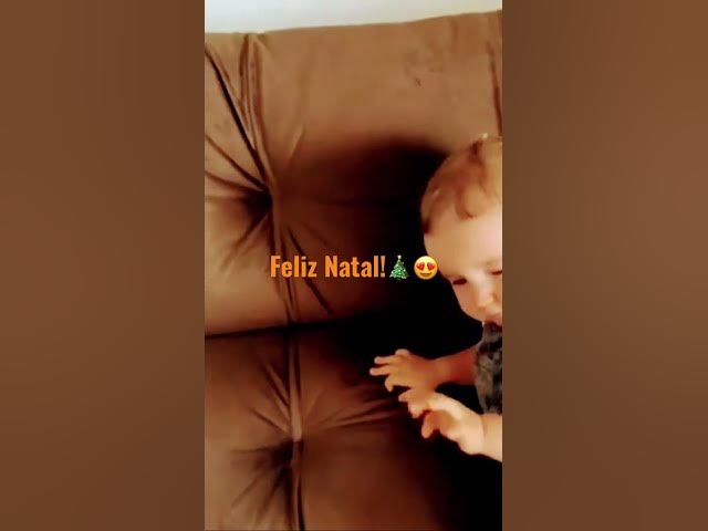 Video thumbnail for Natal chegando é só desejo o melhor pra você que me acompanha! #natal #christmas #dog #babyboy