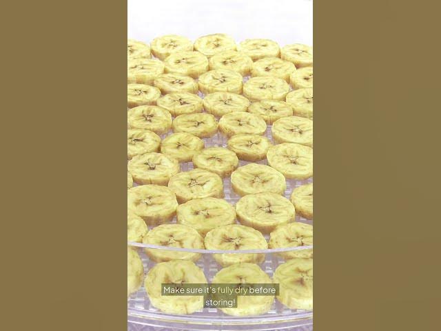 Video thumbnail for How to Build the Ultimate Dehydrated Food Stockpile! #easynutrition #foodpreservation #food #cooking