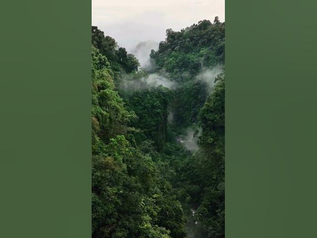 Video thumbnail for nature travels #shortvideo #youtubeshorts