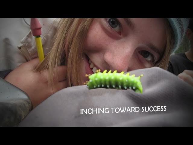 Video thumbnail for Youth and the National Park Service