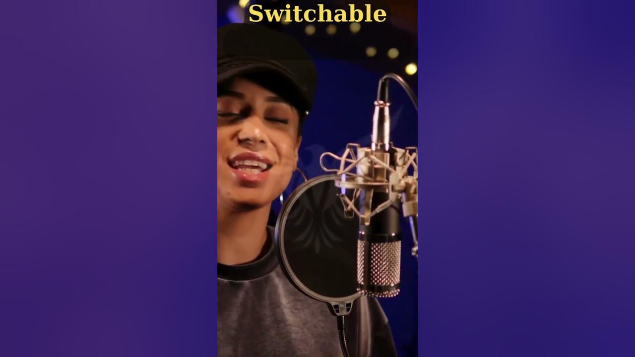 'Video thumbnail for sE Electronics sE2300 Multi Pattern Condenser Mic Under $500'