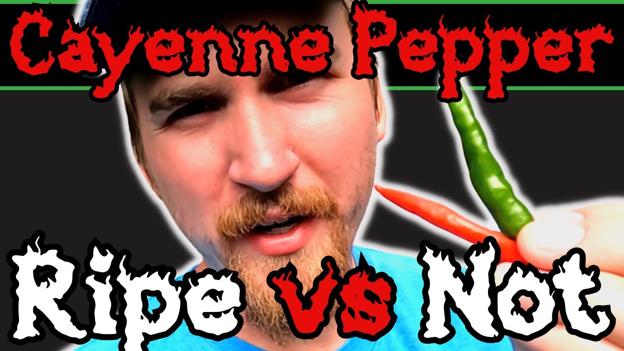 'Video playlist thumbnail'
