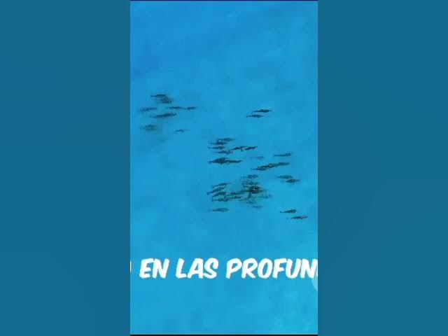 Video thumbnail for Como creó Dios el mundo