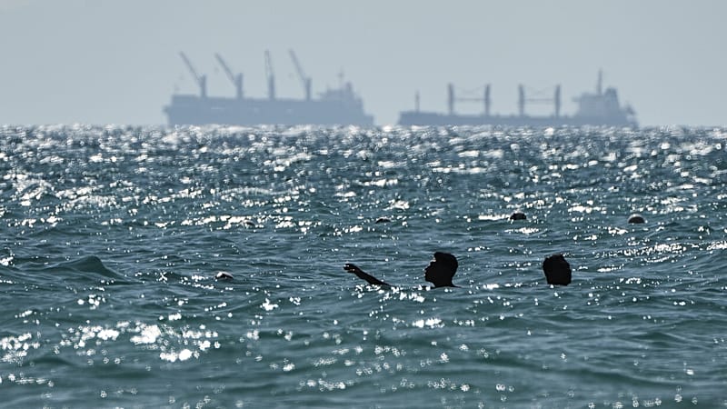 Video thumbnail for Egypt to build a rail link as an alternative to the blocked Suez Canal