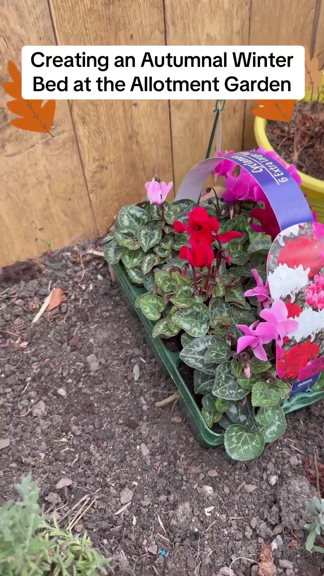 'Video thumbnail for 🍂❄️ Creating an Autumnal Winter Garden Bed ❄️🍂'