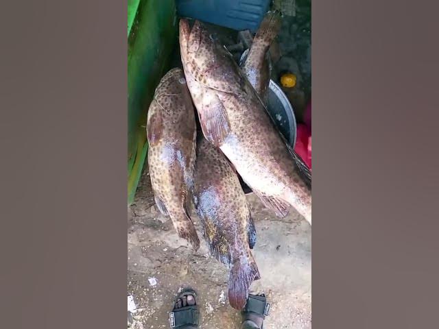 Video thumbnail for 26 sep 2025