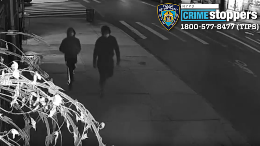 Video thumbnail for Duo wanted for allegedly shooting, killing teen in East New York