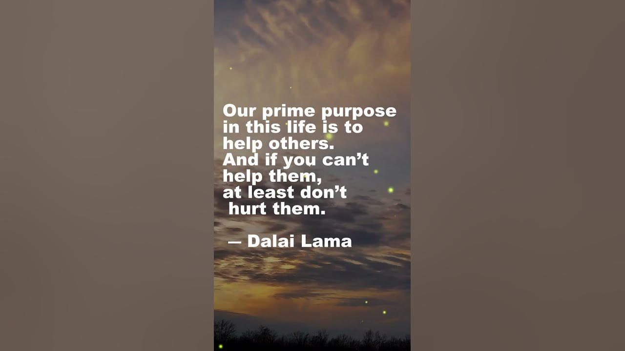 Video thumbnail for Our purpose in Life! #shorts #zenquotes