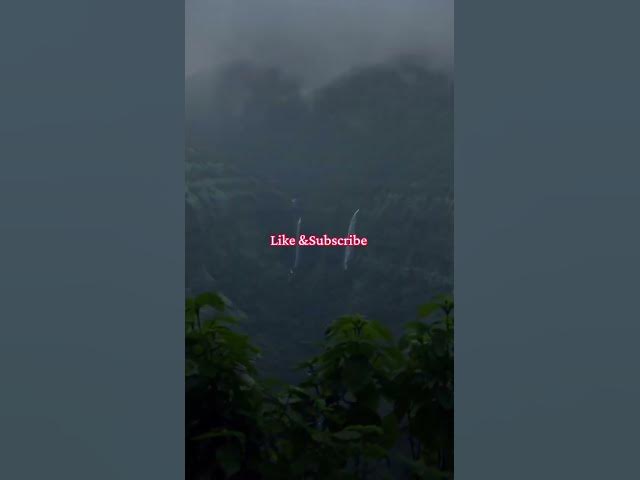 Video thumbnail for Wild Thought _Nature _peace_ #fypシ _subscribe ?#trending