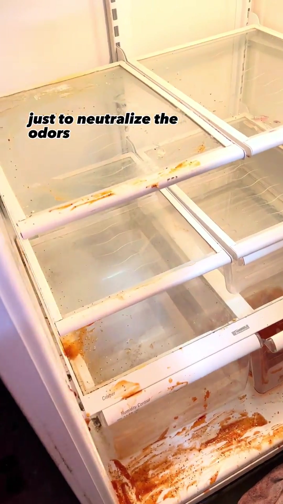 Video thumbnail for Rotting egg smell is GONE after this major fridge DEEP CLEAN__ That before _ after transformation 🔥(720P_60FPS)