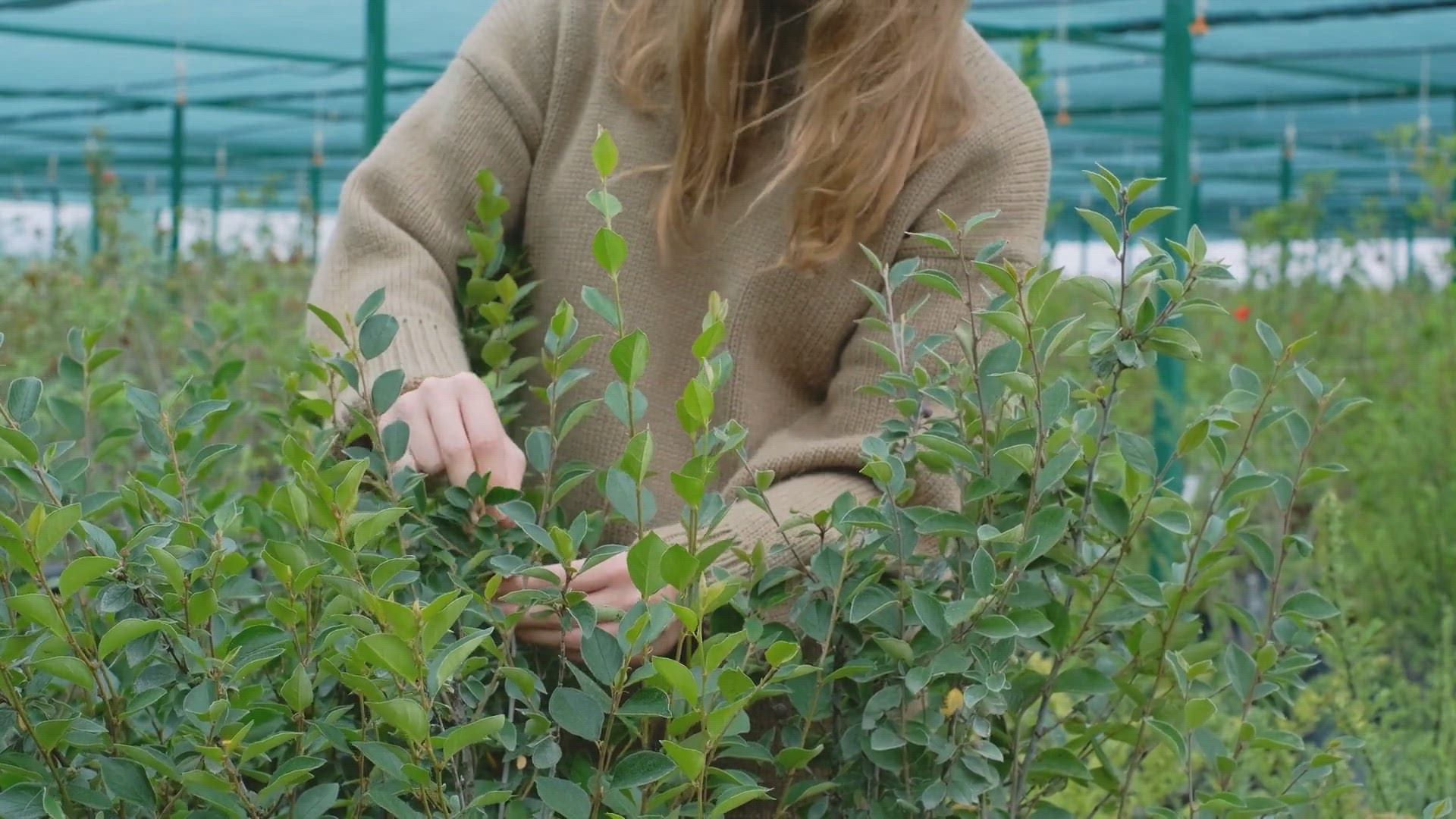 Video thumbnail for From Seed to Harvest: Organic Farming Tips and Tricks