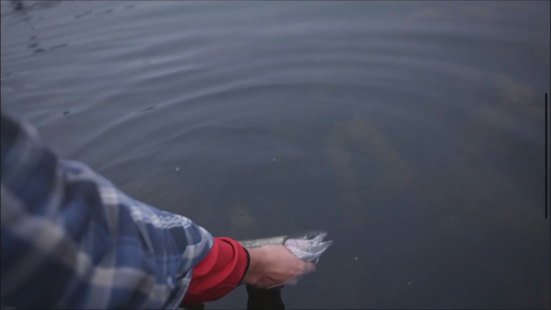 Video thumbnail for Reeling in Memories: Uncover the Ultimate Fishing Hotspots for Kids in San Diego's Coastal Paradise