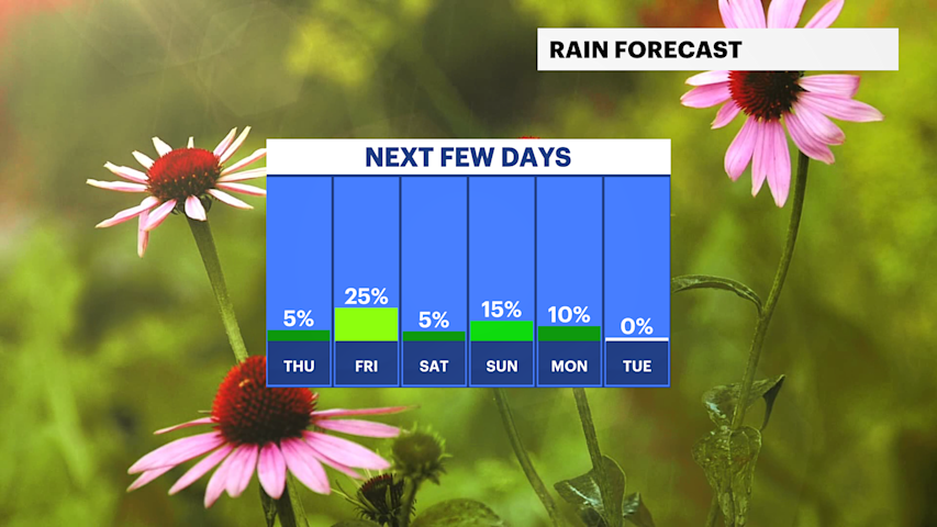 Video thumbnail for Better news for the weekend forecast after a summer tease in Brooklyn
