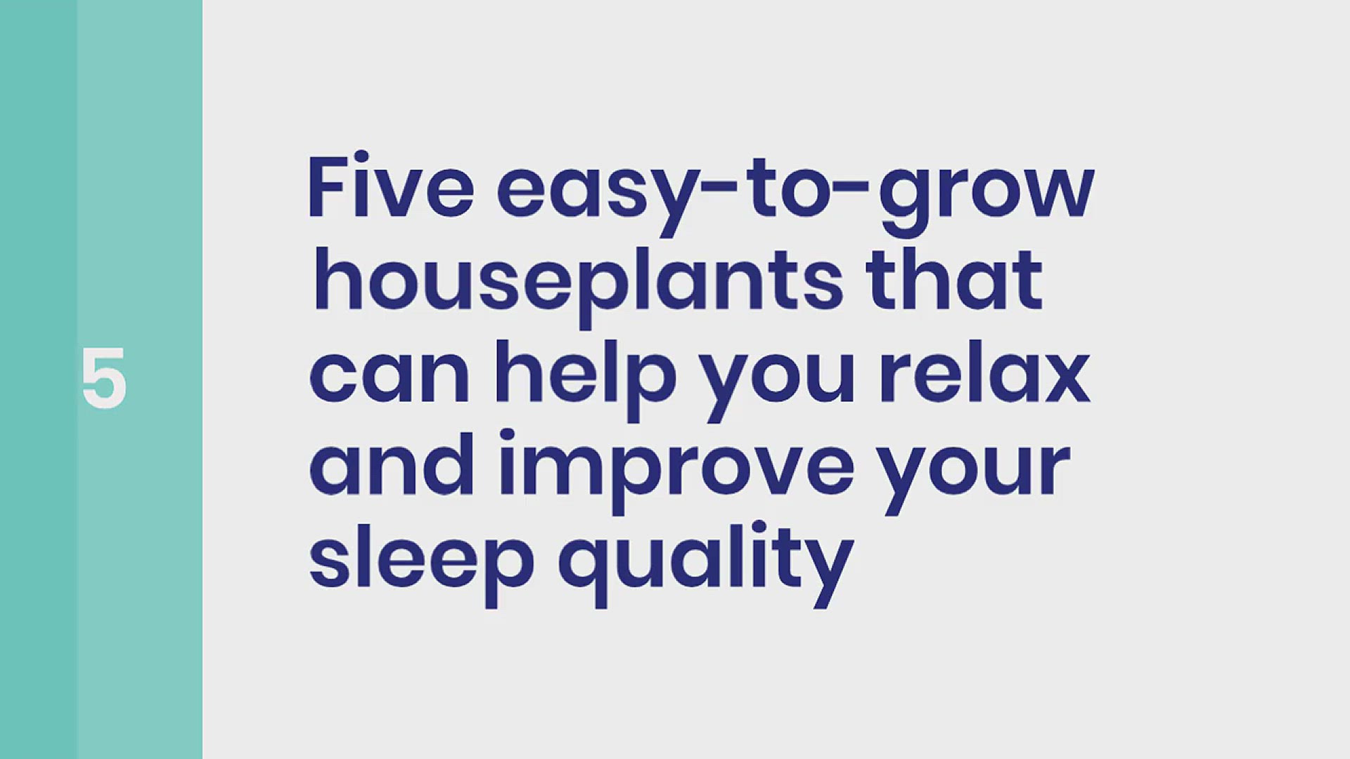 'Video thumbnail for 5 Houseplants to Help Improve Your Sleep'