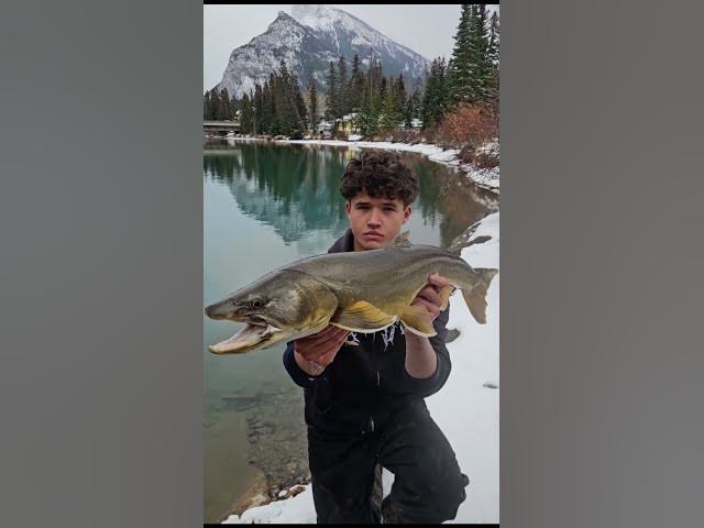 Video thumbnail for Rocky Mountain Teen Sets Trout RECORDS on Bow River 🔥
