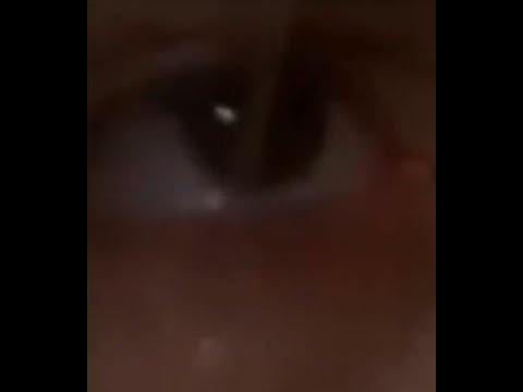 Video thumbnail for Desnudo