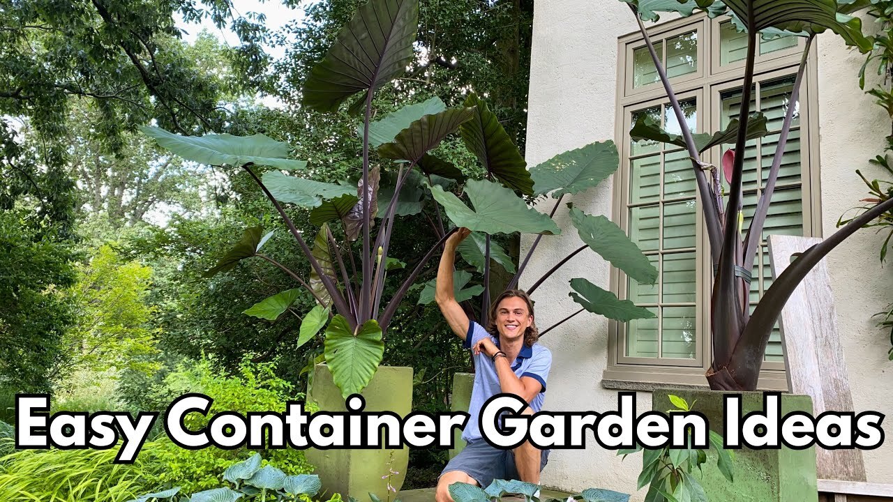 Video thumbnail for CONTAINER GARDEN Ideas & Inspiration